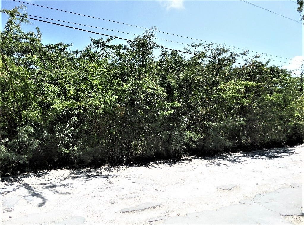 HPV9+2H7, Stella Maris, The Bahamas, Nassau, Long Island Land