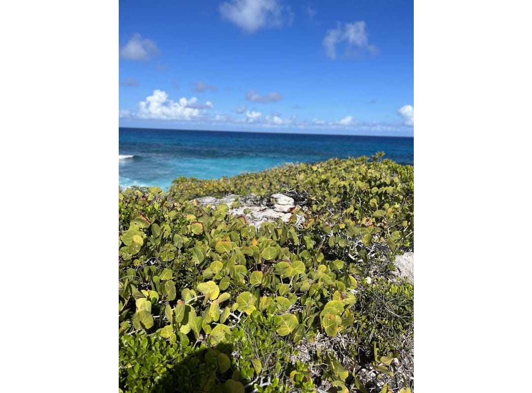 2 ACRES IN MILLERTON'S, Long Island, Long Island Land for Sale