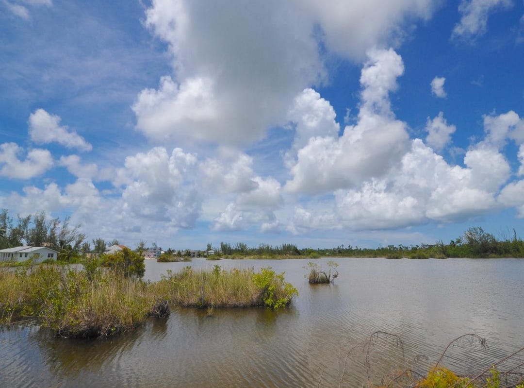 1 Norman Road, Nassau, The Bahamas, Coral Harbour, New Providence