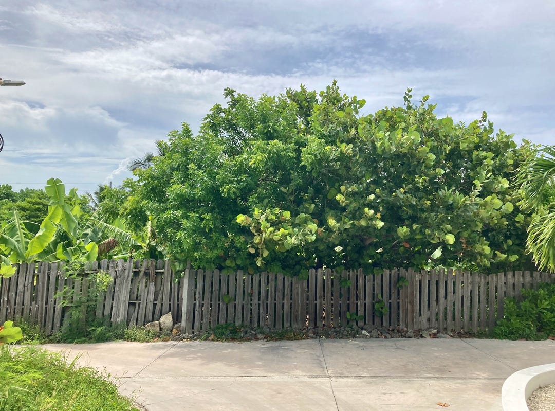 Rugged Hill Road, ManOWar Cay, Hope Town Land for Sale