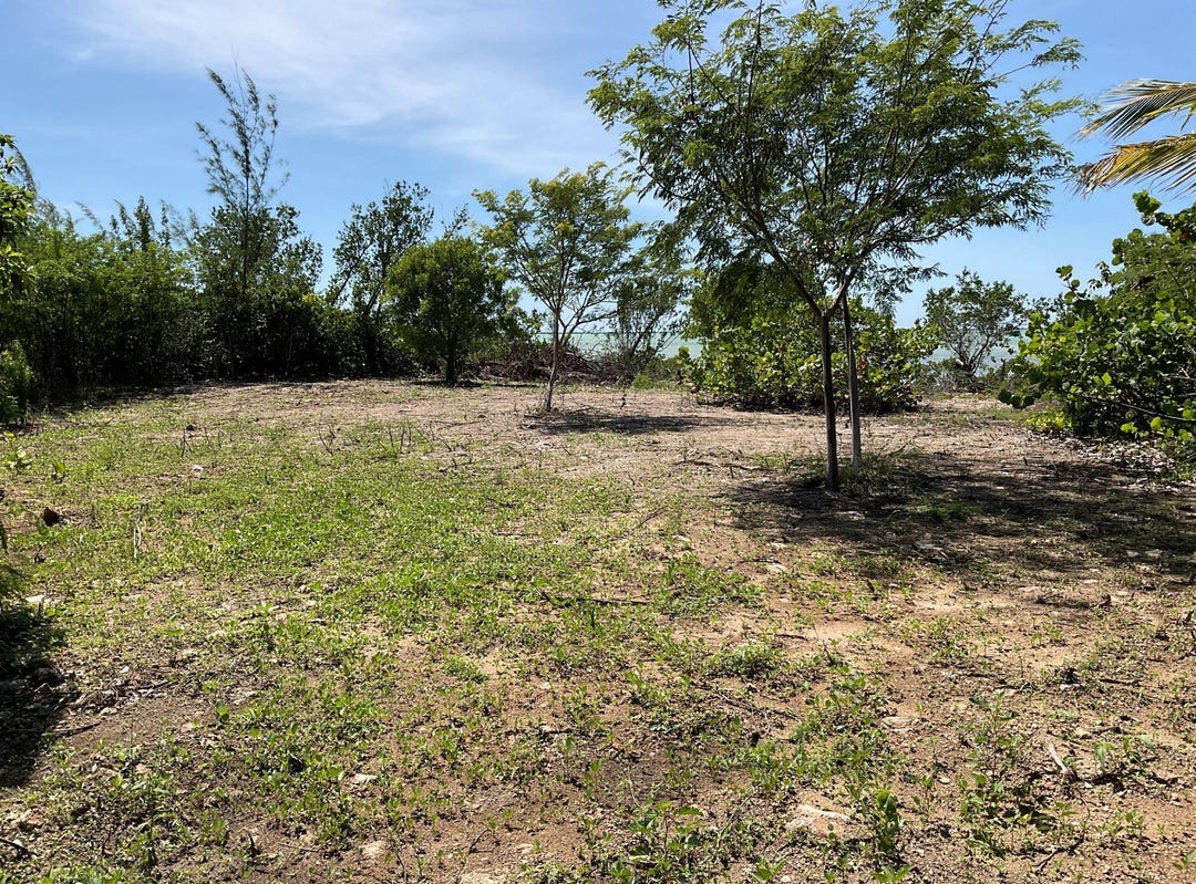 MANGROVE BUSH LOT, Long Island, Long Island Land for Sale