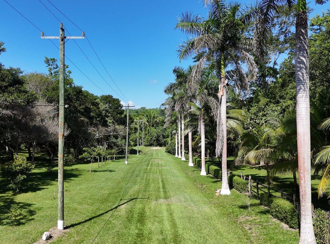 4WCR+QG, Cristo Rey, Belize, Cayo District, Cayo District Land