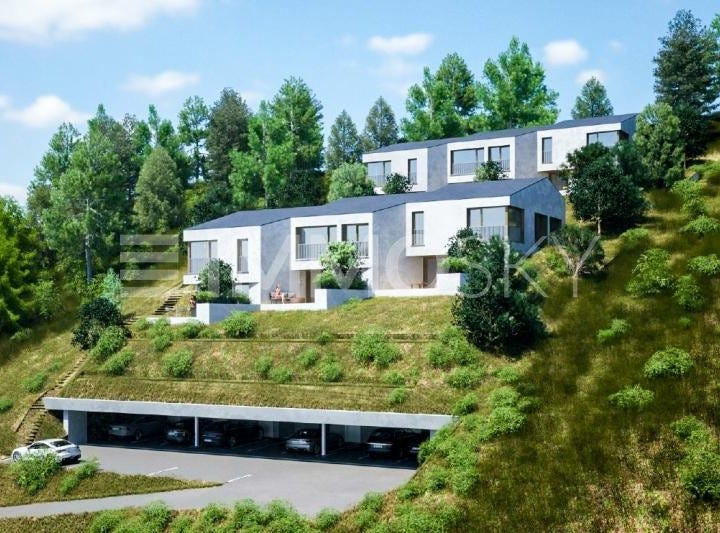 Ayent, Valais 1966 House for Sale