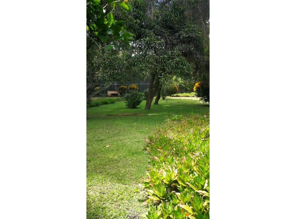 Home Construction Site For Sale in Escazð, Escazð, San José Land for