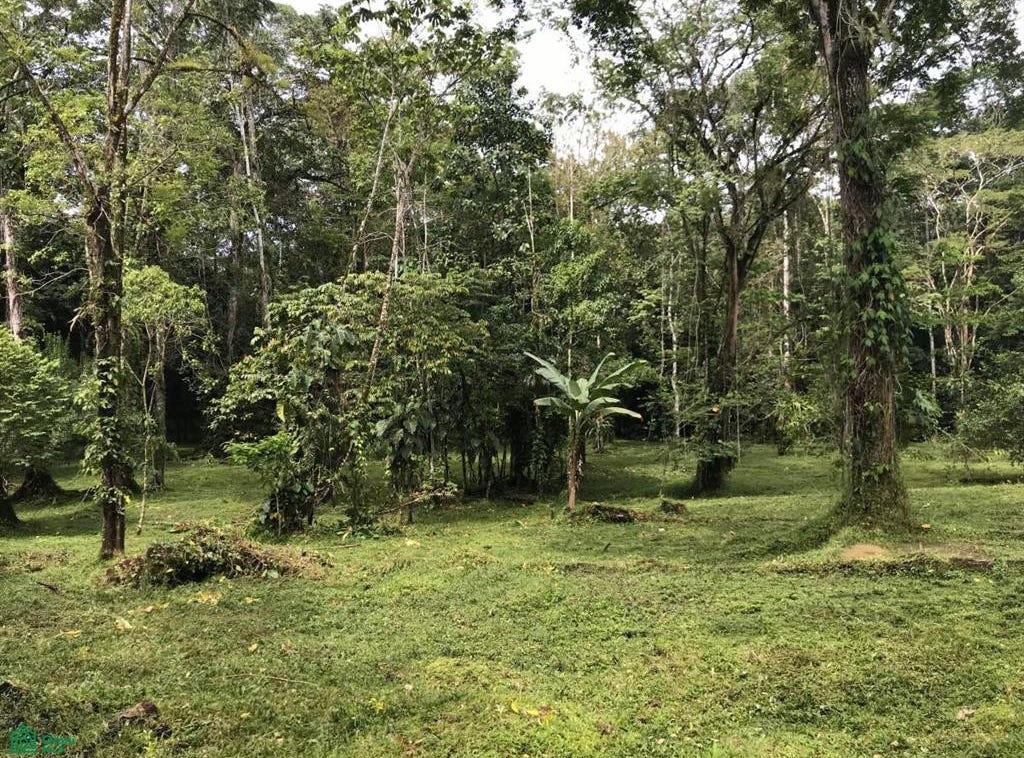 OLE CARIBE , Cahuita, Talamanca, Limon, Limon Land for Sale