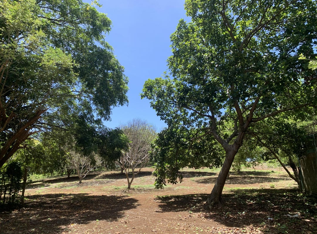 Near Municipality 1044sq.m, Utila, Bay Islands Department Land for Sale