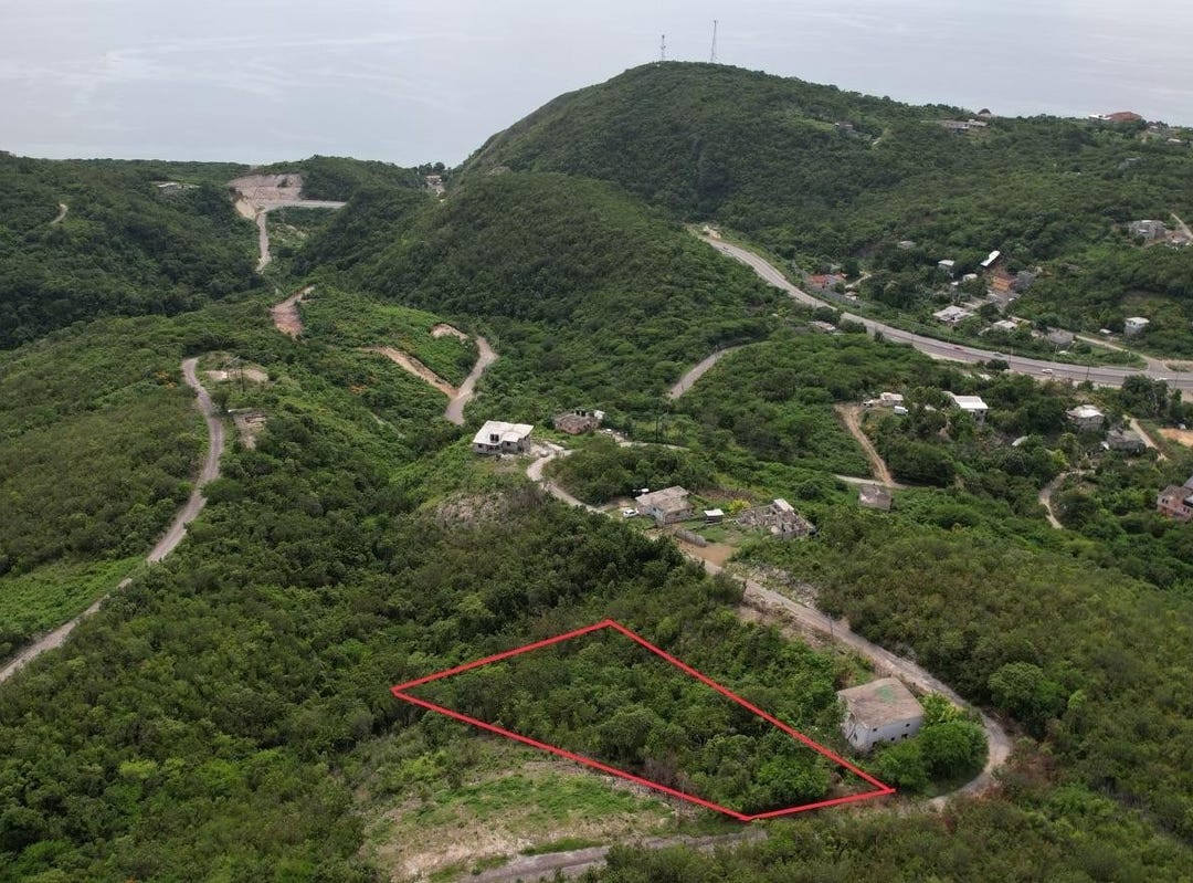 168 SANTA CRUZ RD, SPRING GAR, Spring Garden, St. James Parish Land for Sale