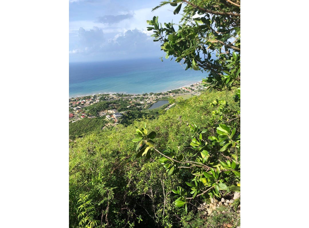 260 REST HAVEN, BULL BAY, St. Andrew Parish Land for Sale