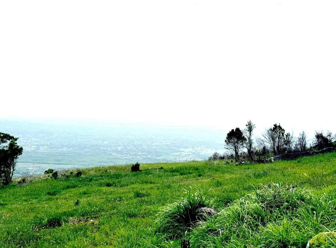 MALVERN HEIGHTS, ST. ELIZ, Malvern, St. Elizabeth Parish Land for Sale