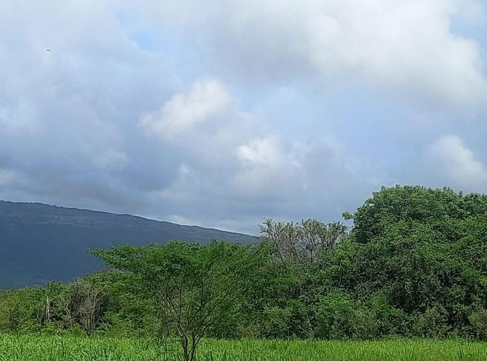 LITITZ , ST. ELIZABETH, Junction, St. Elizabeth Parish Land for Sale