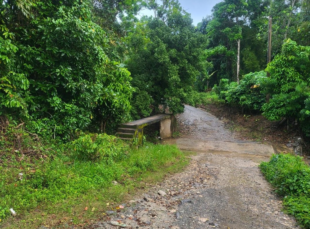 CRAWLE 11, 1715, St. Catherine Land for Sale