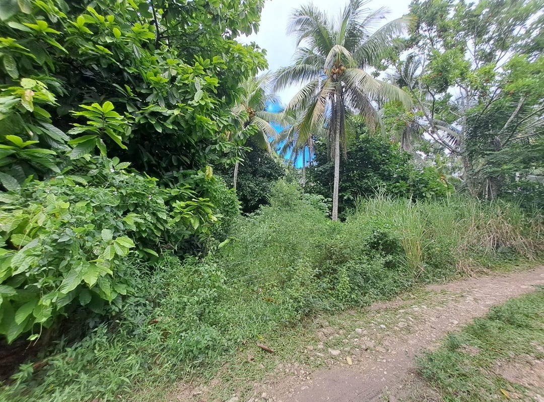 5 FONTABELLE, FREE HILL, Fontabelle, St. Mary Parish Land for Sale