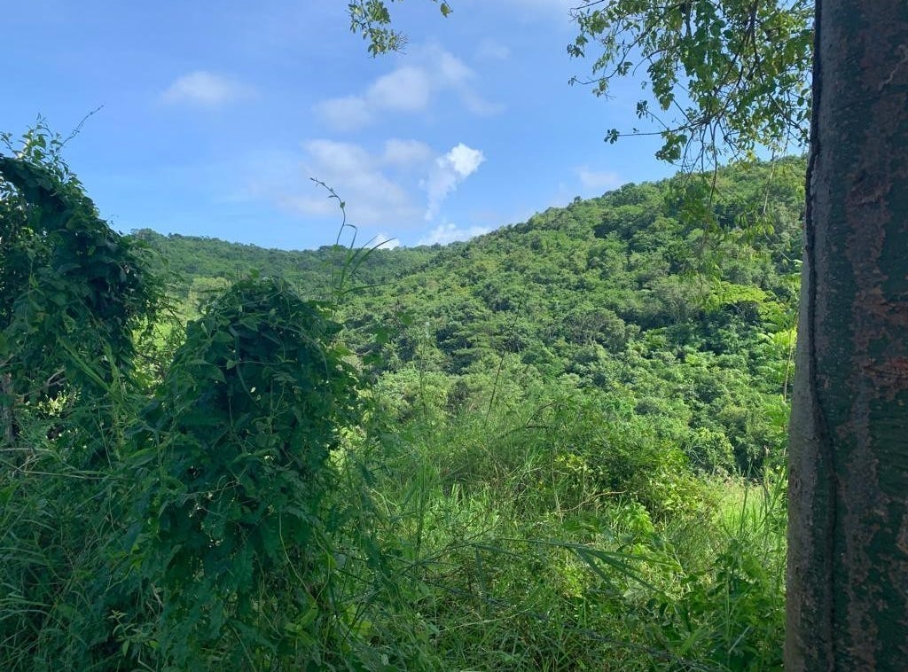 1 HOPEWELL, BRIDGEWATER DIS, Discovery Bay, St. Ann Parish Land for