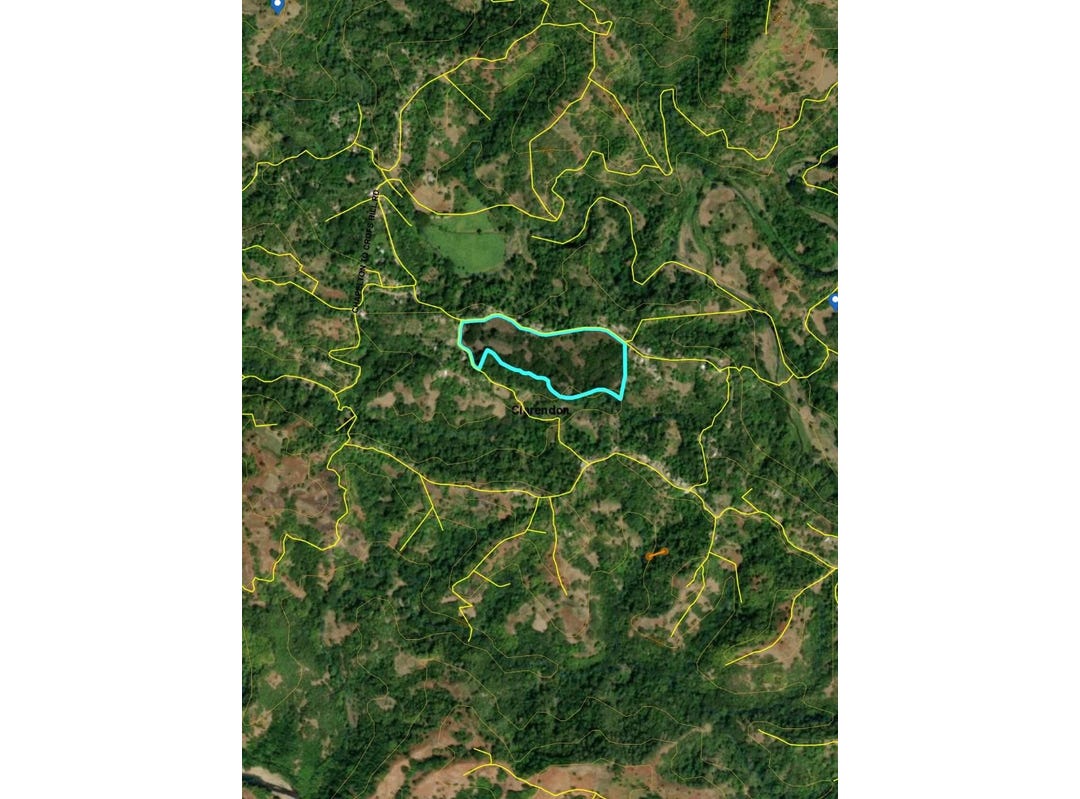 CRAWL RIVER, CLARENDON, Chapleton, Clarendon Land for Sale