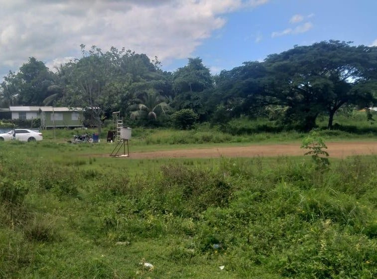 GENEVA, Grange Hill, Westmoreland Parish Land for Sale