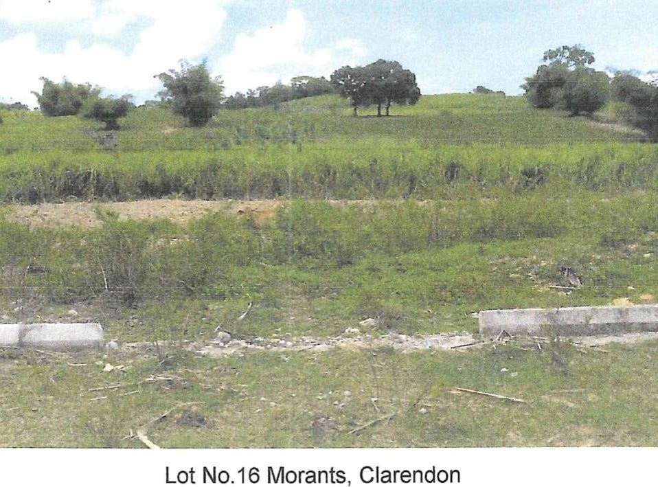 PART OF MORANT, CLARENDON, Crofts Hill, Clarendon Land for Sale