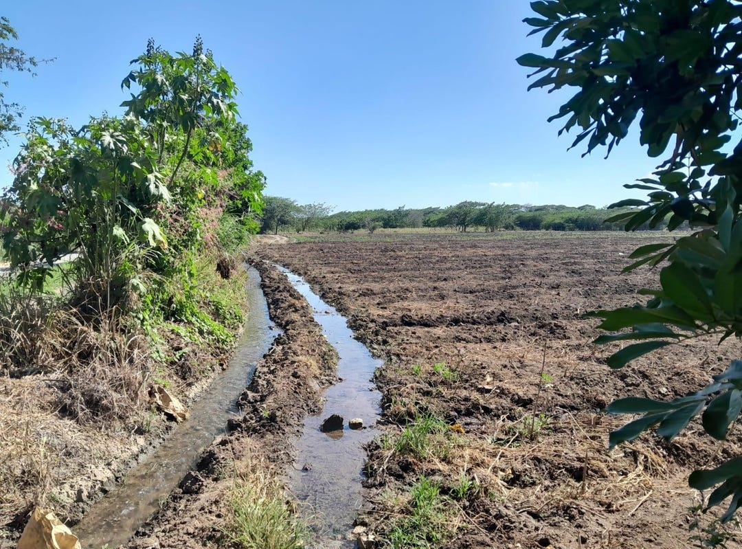BUSHY PARK ST CATHERINE, Gutters, St. Elizabeth Parish Land for Sale