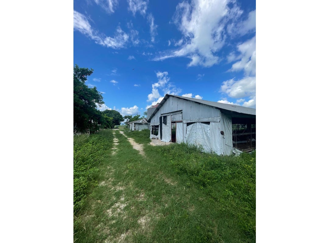 38 RHYMESBURY, Rhymesbury, Clarendon Land/Development for Sale