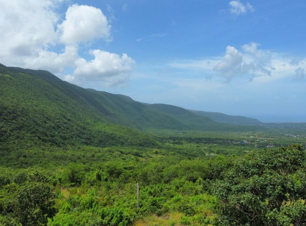 WATSON HILL, Watson Hill, Manchester Parish Land for Sale - realtor.com