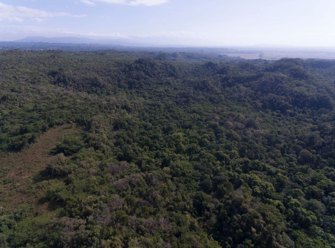 SPRING GARDEN, Bushy Park, Saint Catherine Parish Land for Sale