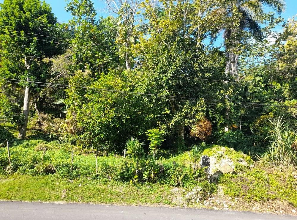 HOPEWELL, Hopewell, Hanover Parish Land for Sale