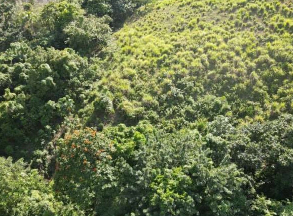 BURROWFIELD WHITE HALL, 2838, St. Thomas Land for Sale