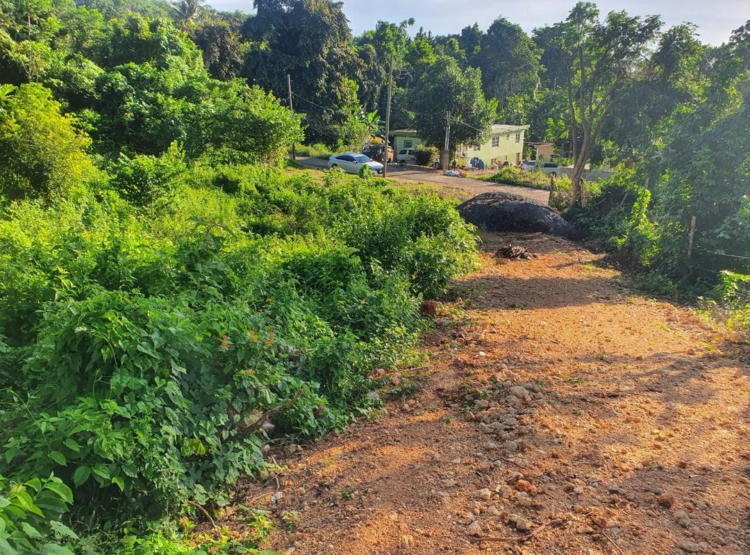 MACCA TREE, Macca Tree, St. Catherine Land for Sale