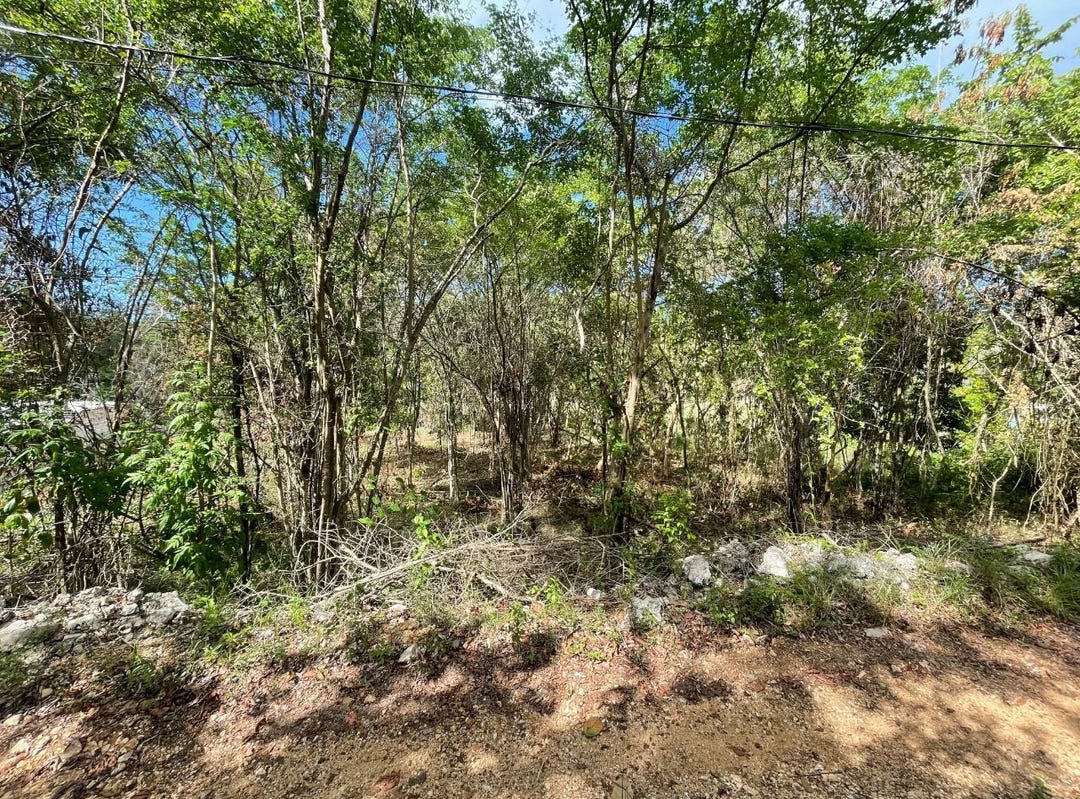 LAND PART OF DUMBARTON, Discovery Bay, St. Ann Parish Land for Sale