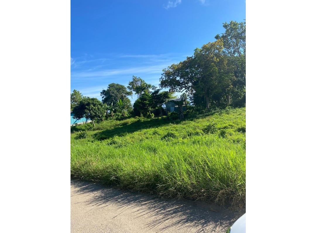 BEECHER TOWN, 734, St. Ann Parish Land for Sale