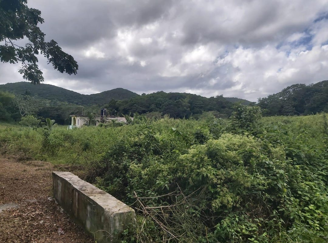 Lot 6 CONTENT ADELPHI, Adelphi, St. James Parish Land for Sale