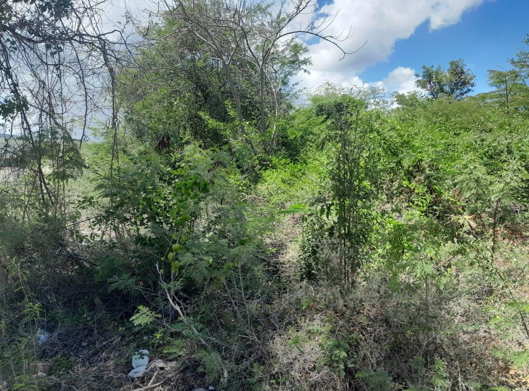 36 SEA BREEZE AVENUE, 2890, St. Thomas Land for Sale