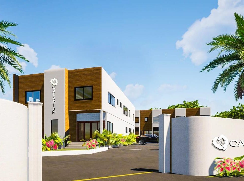 CALADIUM WILTSHIRE FALM, Falmouth, Trelawny Parish House for Sale