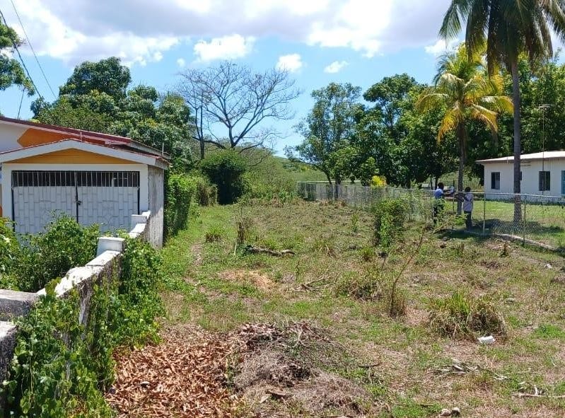 CONTENT ROAD, Denbigh, Clarendon Land for Sale