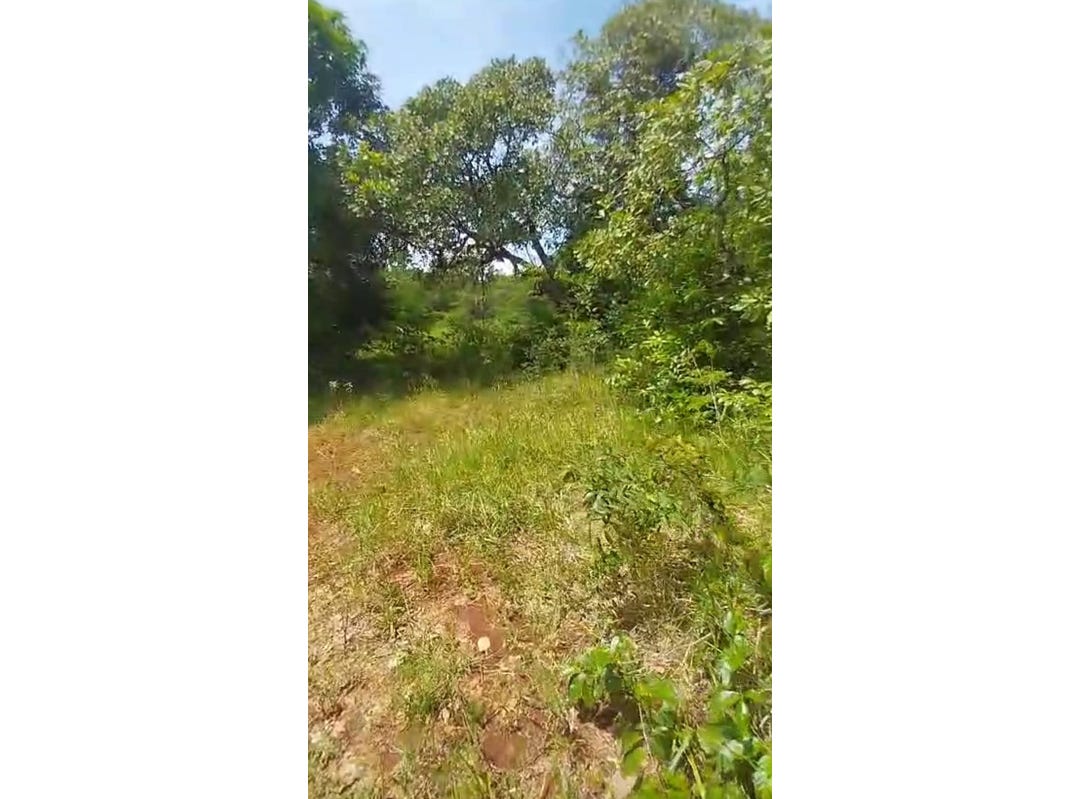 KITSON TN, PAUL MOUNTAIN, Spanish Town, Saint Catherine Parish Land for