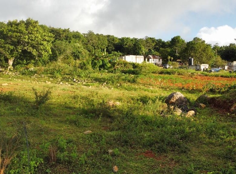 LINCOLN, MOUNT PROSPECT, Lincoln, Manchester Parish Land for Sale