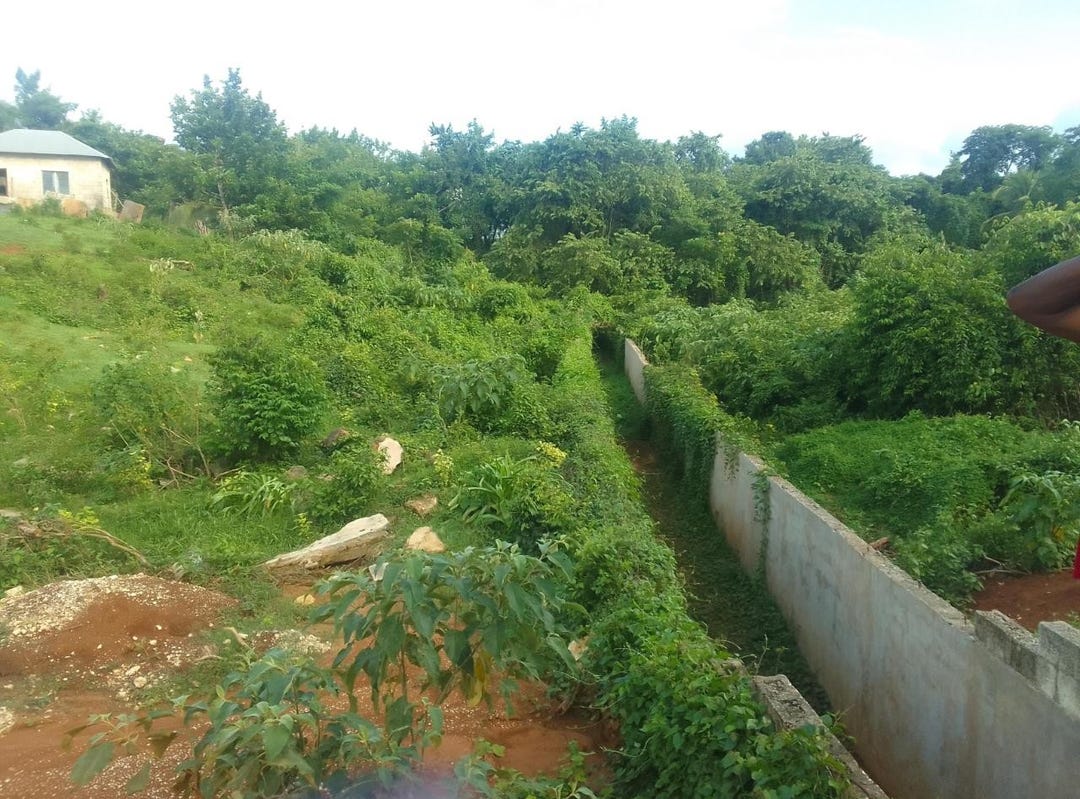 GOSHEN, 2301, St. Elizabeth Parish Land for Sale