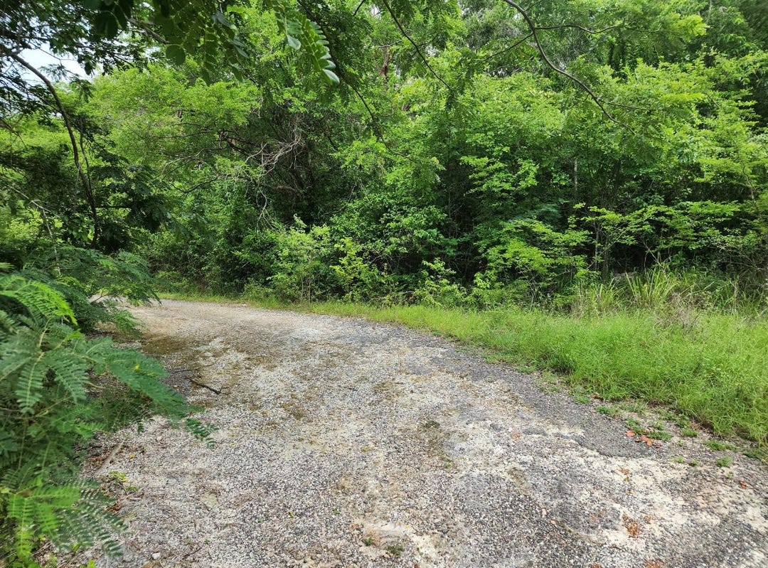 SILVER SANDS, DUNCANS, Duncans, Trelawny Parish Land for Sale