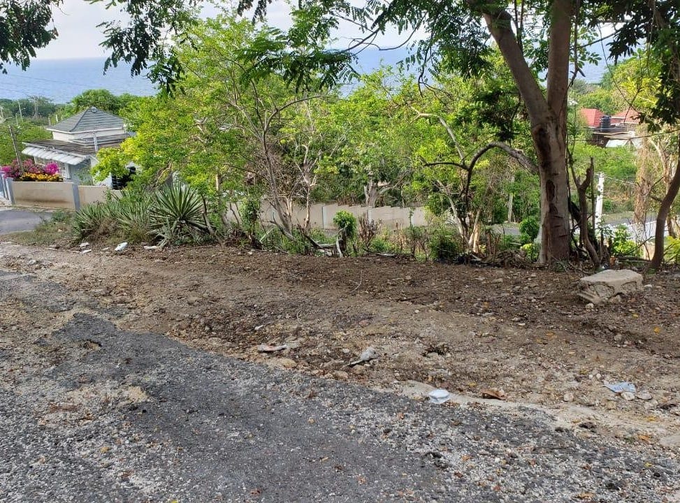 3A ESHER, HAUGHTON COURT, Green Island, Hanover Parish Land for Sale