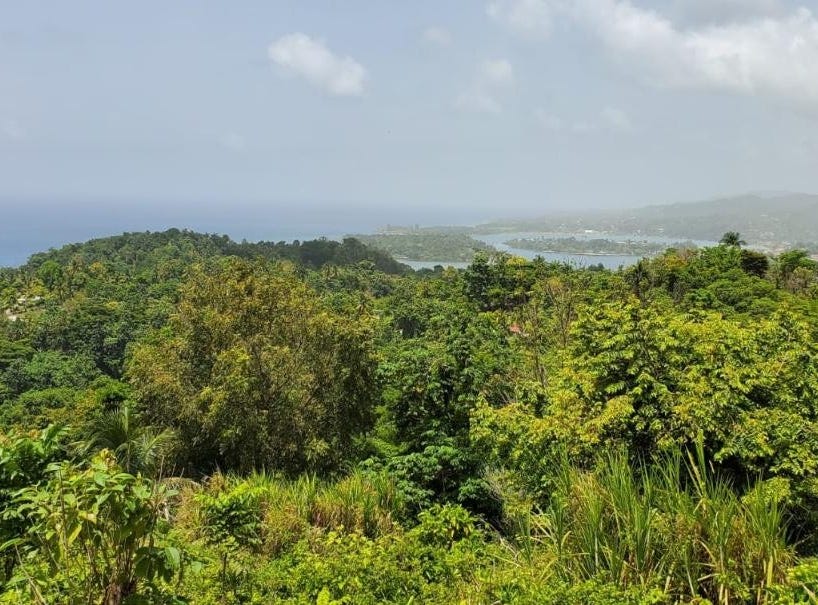 WILTSHIRE, Anchovy, St. James Parish Land for Sale