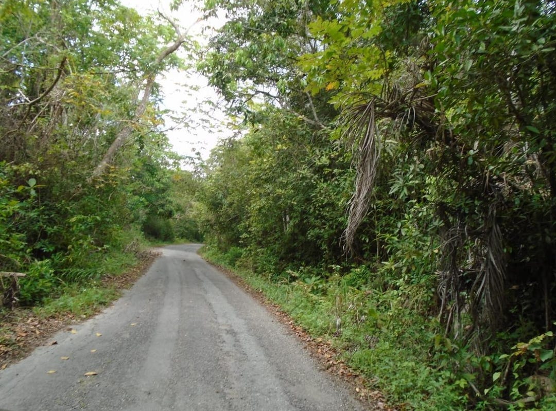 LOT NO. 5, PART OF BELLEV, Carron Hall, St. Mary Parish Land for Sale