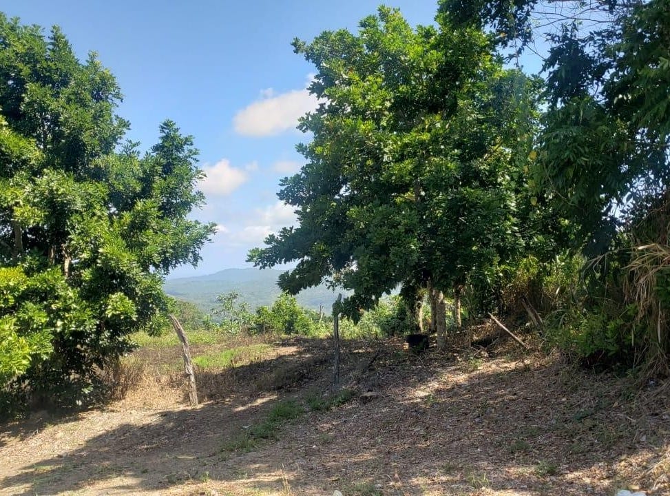 CROMWELL LANDS, HIGHGATE, Highgate, St. Mary Parish Land for Sale