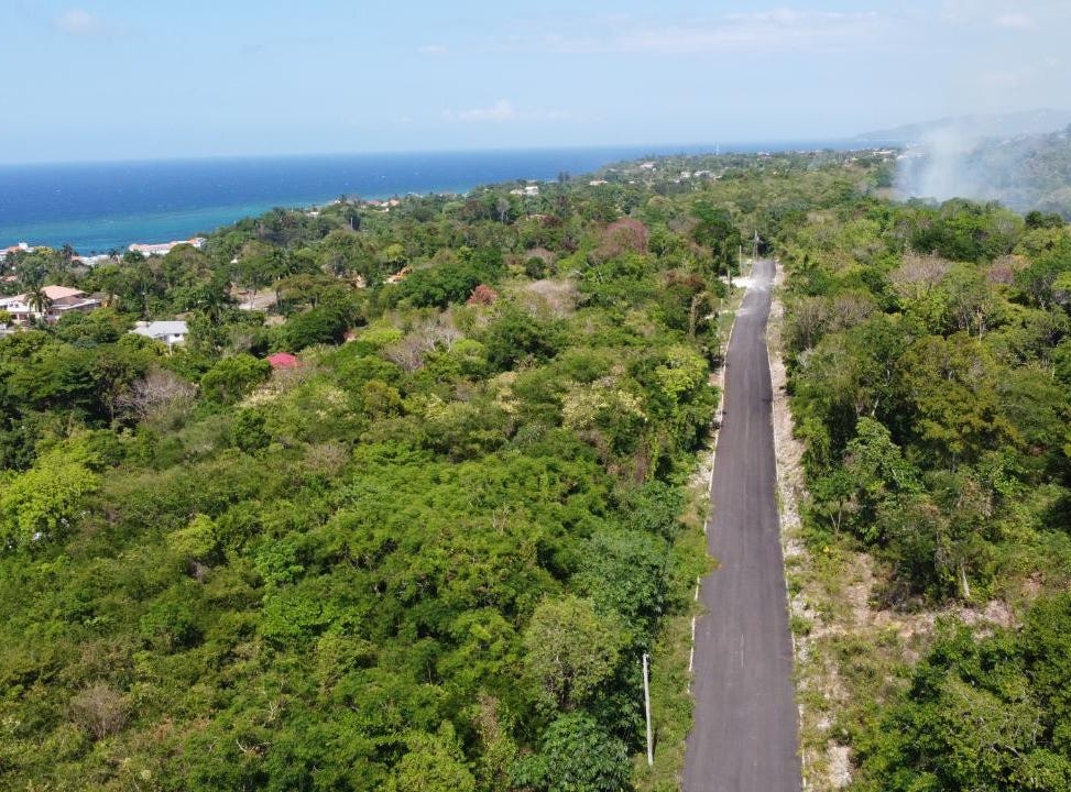 ROYSTONEA, TOWER ISLE, Tower Isle, St. Mary Parish Land for Sale