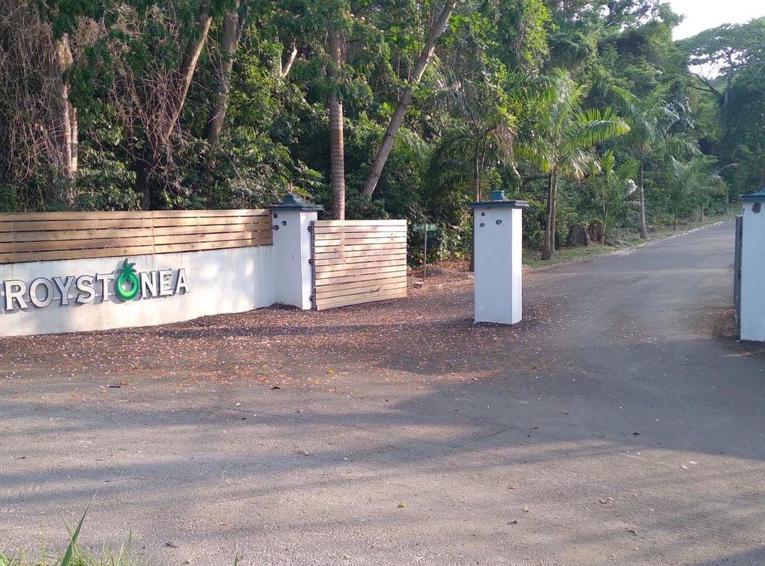 66 ROYSTONIA, TOWER ISLES, Tower Isle, St. Mary Parish Land for Sale