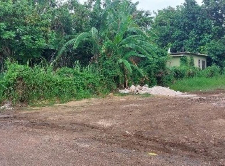 LOWER HARBOUR STREET, Falmouth, Trelawny Parish Land for Sale