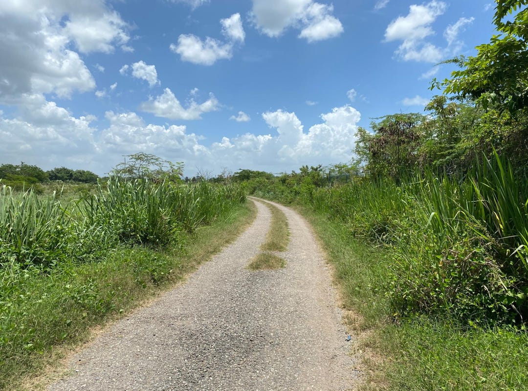 PART OF BUSHY PARK, ST. C, Bushy Park, Saint Catherine Parish Land for