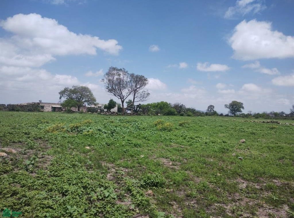 Encinillas KM 24, Encinillas, Polotitlán, México, Mexico City 54200 Land/Development for Sale