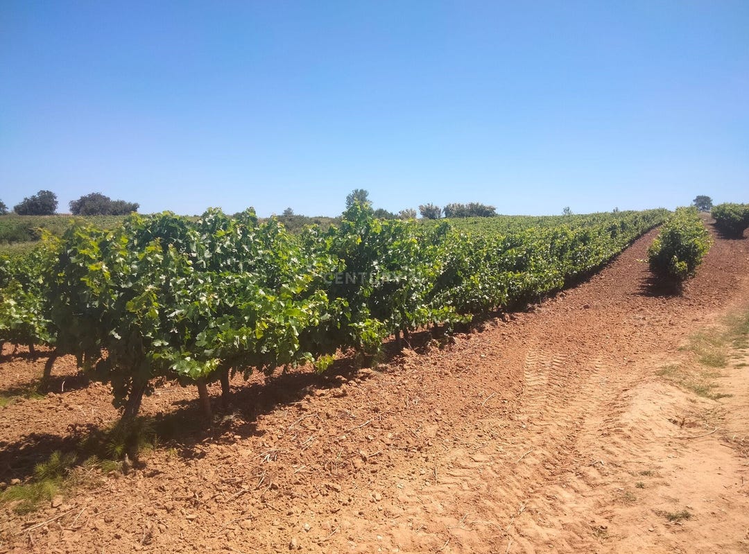 Dois Portos e Runa, Lisbon Land for Sale