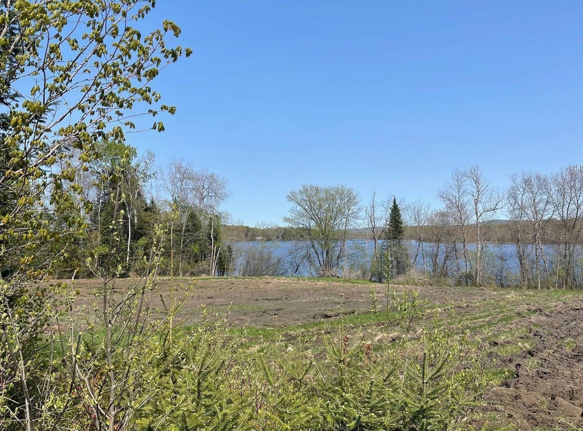 Mtée des Whissell, MontLaurier, QC J9L3G5, CA, MontLaurier, Québec