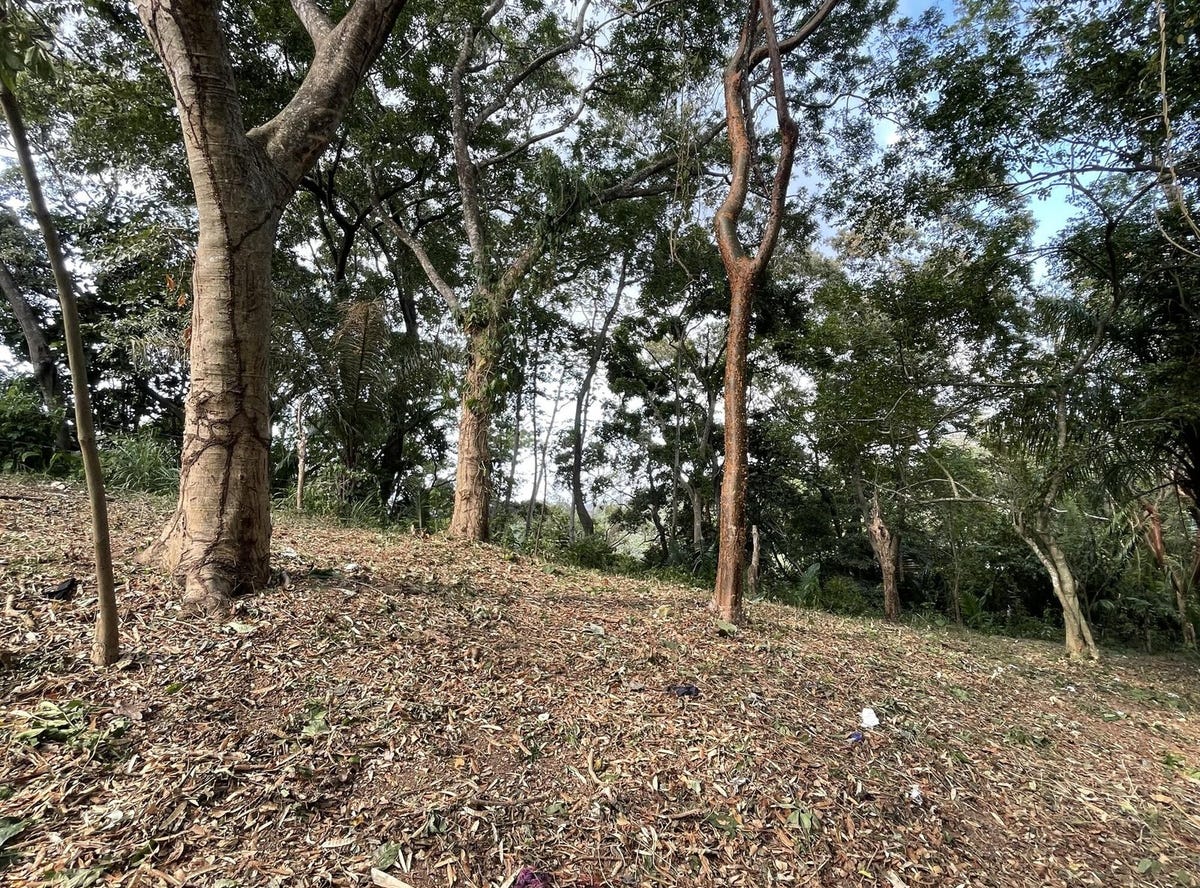 Roatan, Bay Islands Department, Address available on request Land for