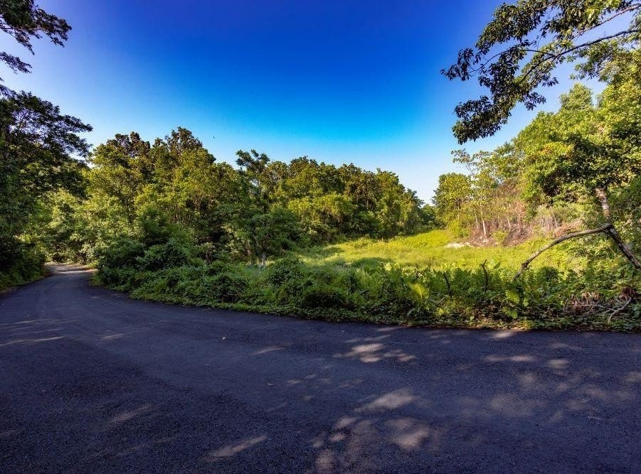 Nonsuch, Portland Parish, Address available on request Land for Sale